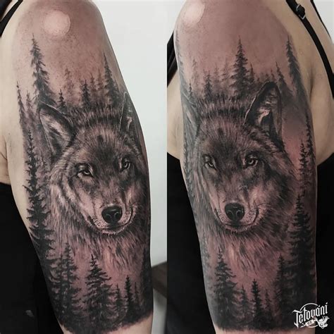 Ilustračná snímka vlka v lese