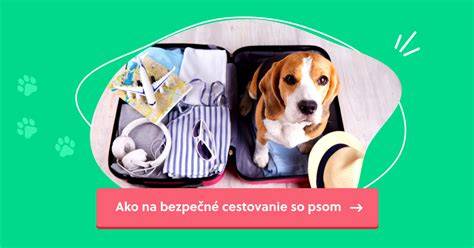 Checklist pre cestovanie so psom: pas, očkovania, vodítko, miska, lieky, obľúbená hračka, nejaké pamlsky