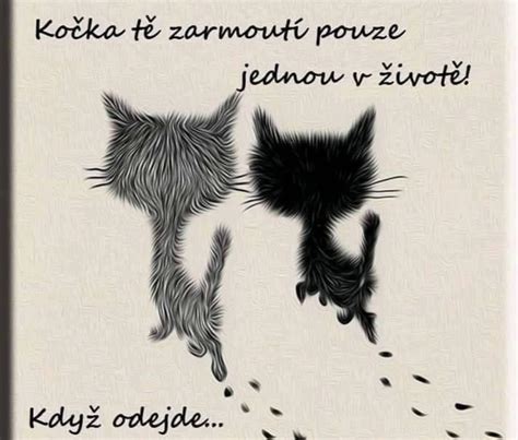 Infografika: Porovnanie veku dožitia a rizík u škótskej klapouchej mačky