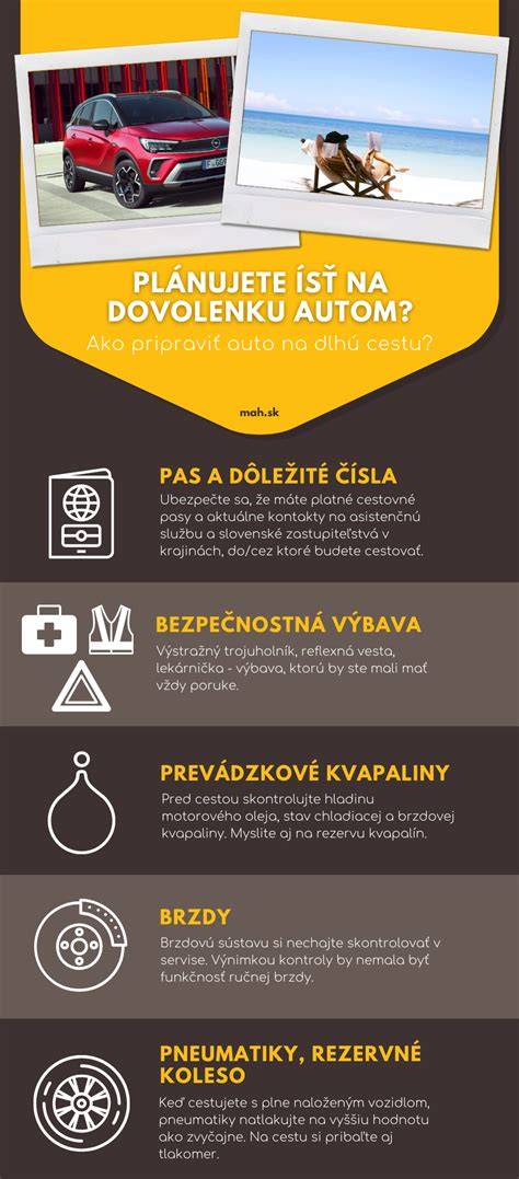 Infografika: Ako pripraviť auto na cestu so psom
