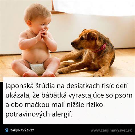 Infografika: Vplyv kontaktu dieťaťa so zvieratami na riziko alergií