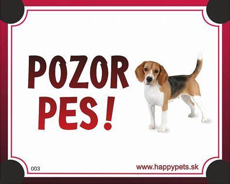 Ilustratívna tabuľka Pozor Pes s jasným nápisom a vyobrazením psa pri vchode do dvora