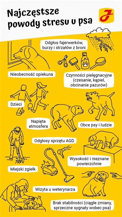 Infografika: Spôsoby zvládania stresu u psa