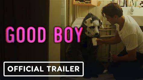 Mapa lokácií, kde sa odohráva dej filmu Good Boy