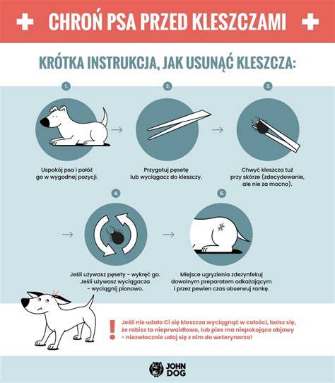 vizuálna infografika o termoregulácii psa a hlavných mechanizmoch ochladzovania