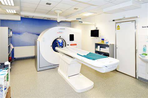 CT vyšetrenie a ukážka anatomických štruktúr brachycefalických psov