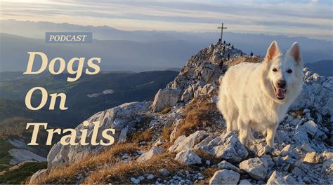Dogtrekking s nemeckým špicom - aktívny spôsob života