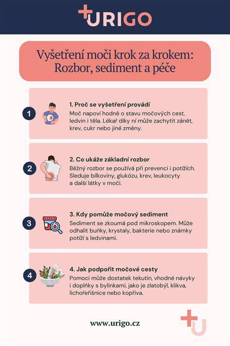 Infografika: Cesty k bezpečnému kúpu šteniatka bullteriéra a vybrané veterinárne testy