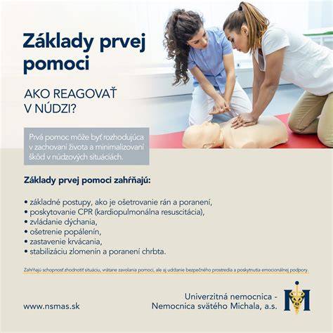 Infografika: najčastejšie núdzové situácie a základné kroky prvej pomoci pre psov