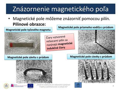 Infografika: Magnetické pole a orientácia psov