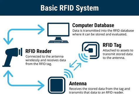 Infografika: Ako funguje RFID čipovanie psa a čo je CRSZ