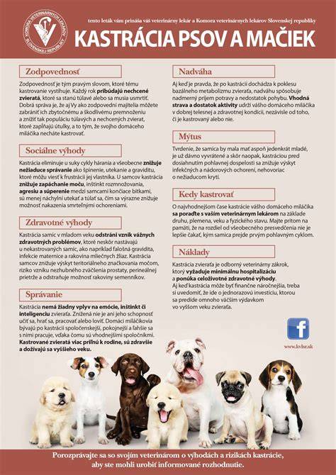 Infografika: Vnímanie zvierat v ľudských vzťahoch (psov, mačiek, prasat) a ich sociálne dynamiky