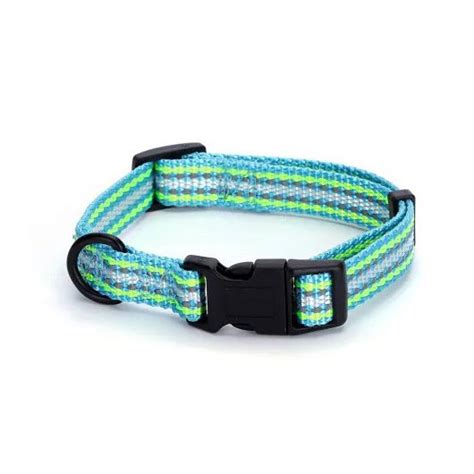 Štýlové obojky pre psov