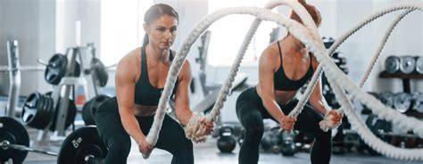 Bradac trening a sport