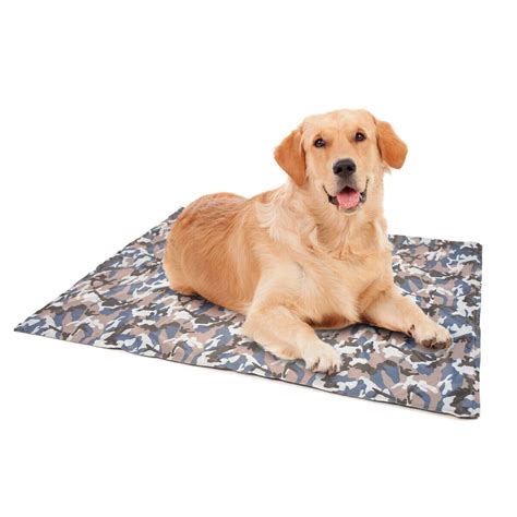 Pes na chladiacej podložke