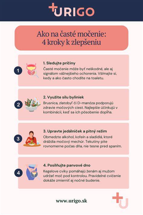 Infografika: Príčiny močenia doma u psa a kroky prevencie