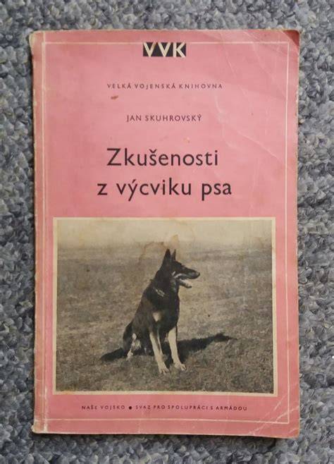 Vizualizácia pravidiel výcviku psa a rozdelenia rolí