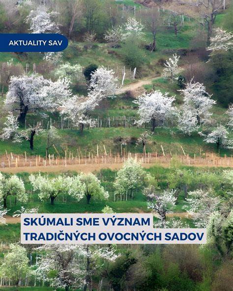 Infografika: Stručný prehľad úloh RVPS a vzťah k potravinovej bezpečnosti