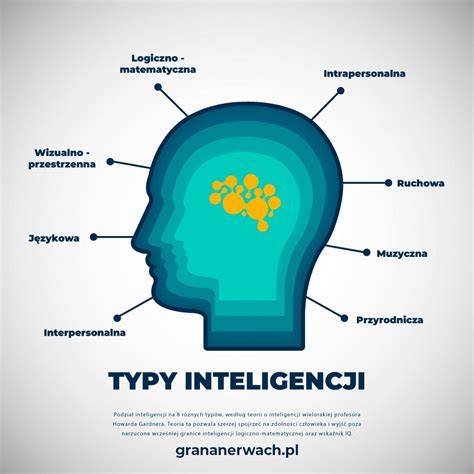 Infografika: typy psích dvierok a ich princíp