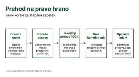 Inštruktívny diagram: fázy pôrodu psov