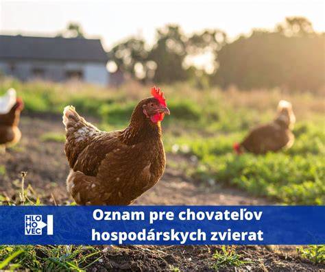 Infografika o tom, ako funguje CRSZ a registrácia chovných zariadení