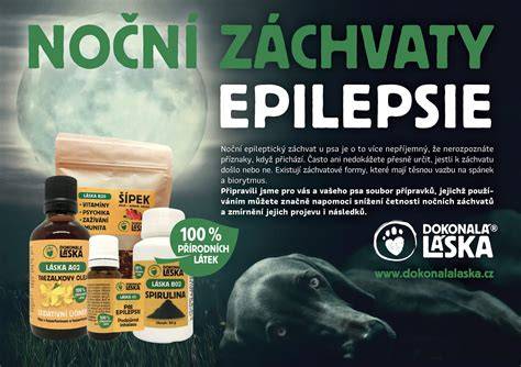 Infografika: Ako prebieha diagnostika epilepsie a vestibulárneho syndrómu u psa