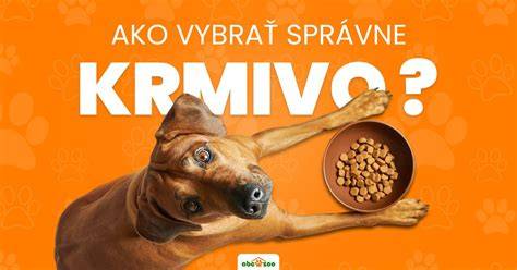 Infografika: Ako správne vybrať psa podľa životného štýlu
