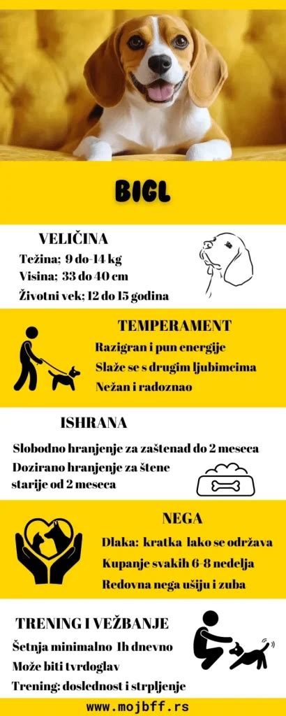 infografika_fotanika_piknik_psom.jpg