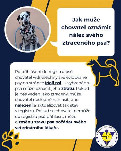 Nález psa a prevzatie vlastníctva súdne