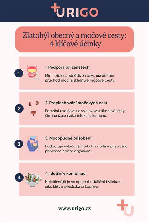 Infografika: cesty socializácie jazvečíkov