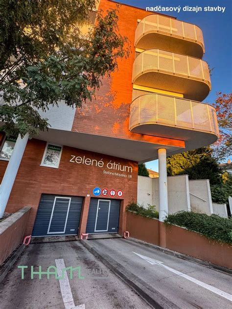 Šťastný pes v dome so záhradou