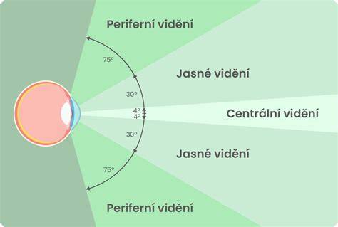 Infografika: Porovnanie zrakových funkcií psa a človeka (zorné pole, čapíky, tyčinky, tapetum lucidum)