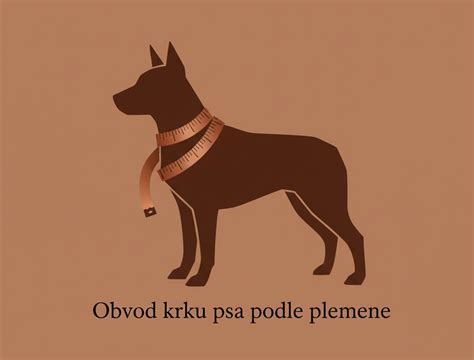 Schéma správneho merania krku psa