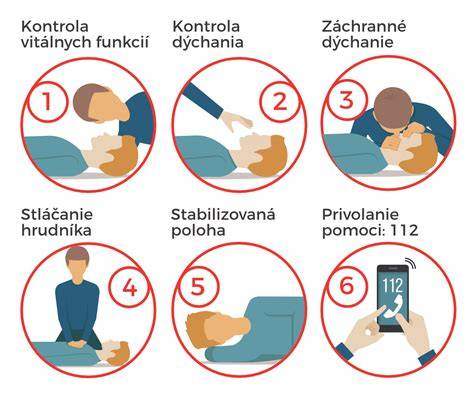 Infografika: ABC postup pri poskytovaní prvej pomoci psovi