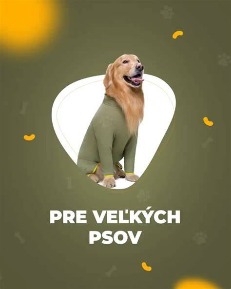 Schéma výživových potrieb veľkých psov