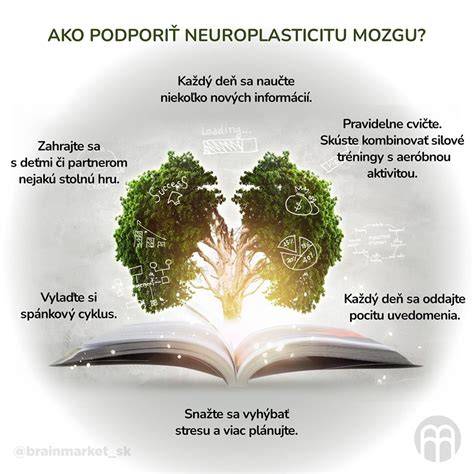 grafika: neuroplasticita a tréning mozgu
