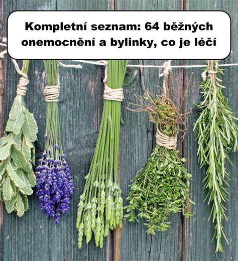 Vizualizácia bežných ochorení maltezákov