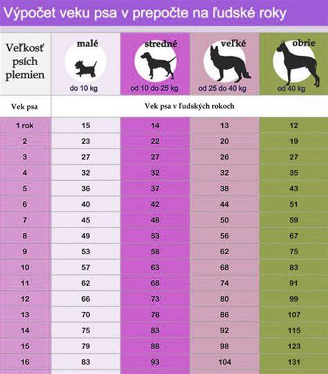 Infografika: Vzorový plán výcviku psa podľa veku a úrovne