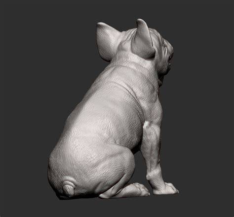 https://example.com/obliecky-buldocek-3d.jpg