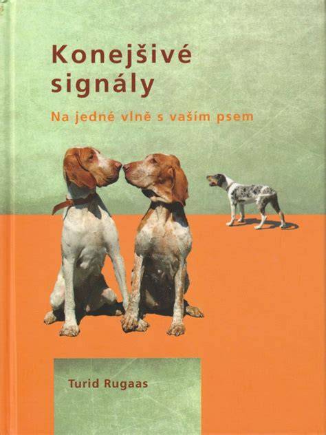Infografika: Konejšivé signály psa - najdôležitejšie body a ich význam