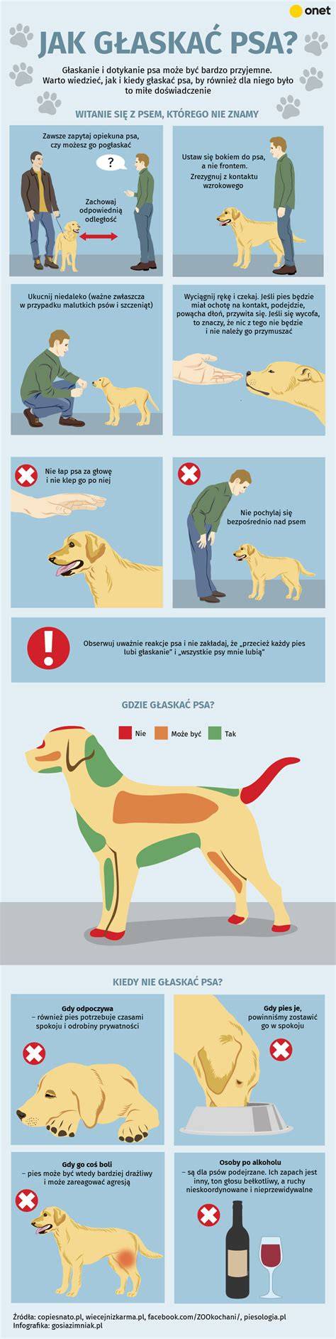 foto_psa_opatrovanie_infografika