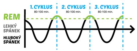 Infografika: Spánkové fázy psa a REM cykly