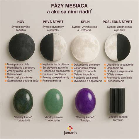 Infografika zobrazujúca zakladné fázy skoku psa cez obilné pole: štart, vzdušná fáza, dopad a následná kontrola polohy tela.