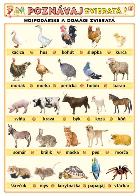 Infografika: Obsah a motívy v texte - zvieratá, domáce práce, doprava, príroda