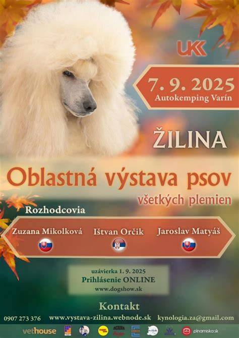 Infografika: Štatistika Medzinárodnej výstavy psov v Brne - počty plemien, počty účastníkov a hlavné kategórie