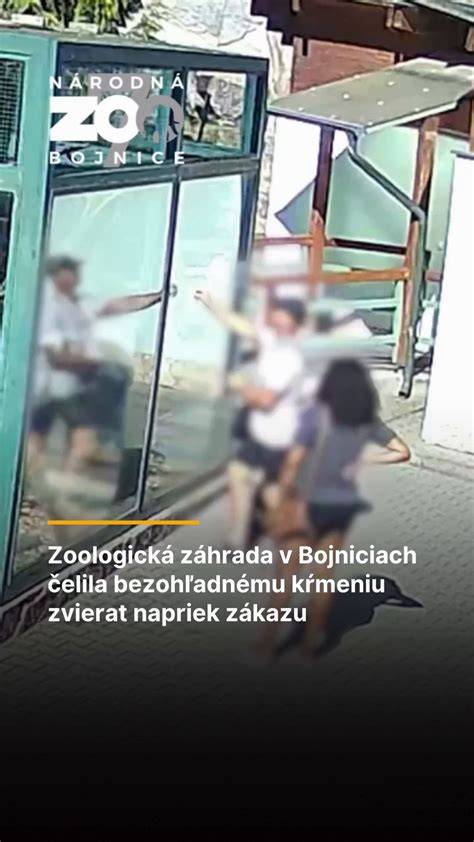 Infografika: Bezpečnosť zvierat na výstavách a pravidlá správania