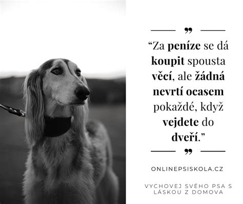 Šťastný pes vrtí chvostom