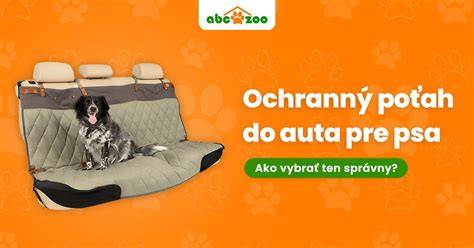 Infografika: Ako vybrať psa a čo zvážiť pri adopcii