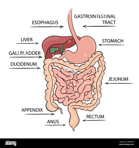 inzertný_obrazok_gastro_diagram.jpg