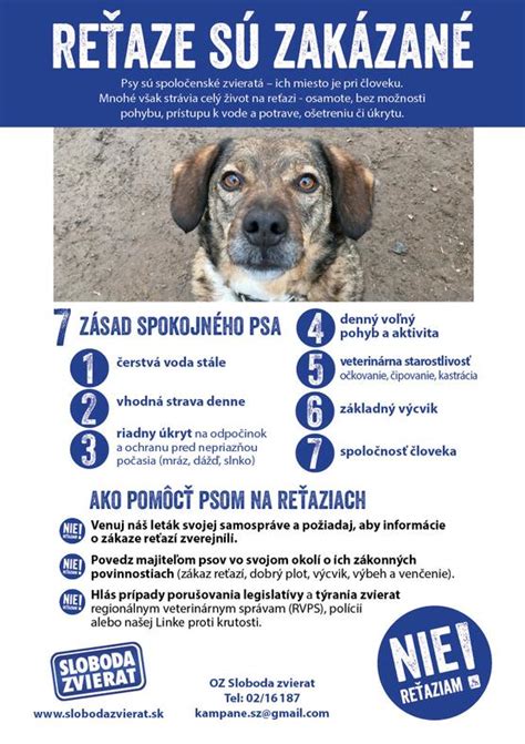 Infografika: Príčiny a následky držania psov na reťazi